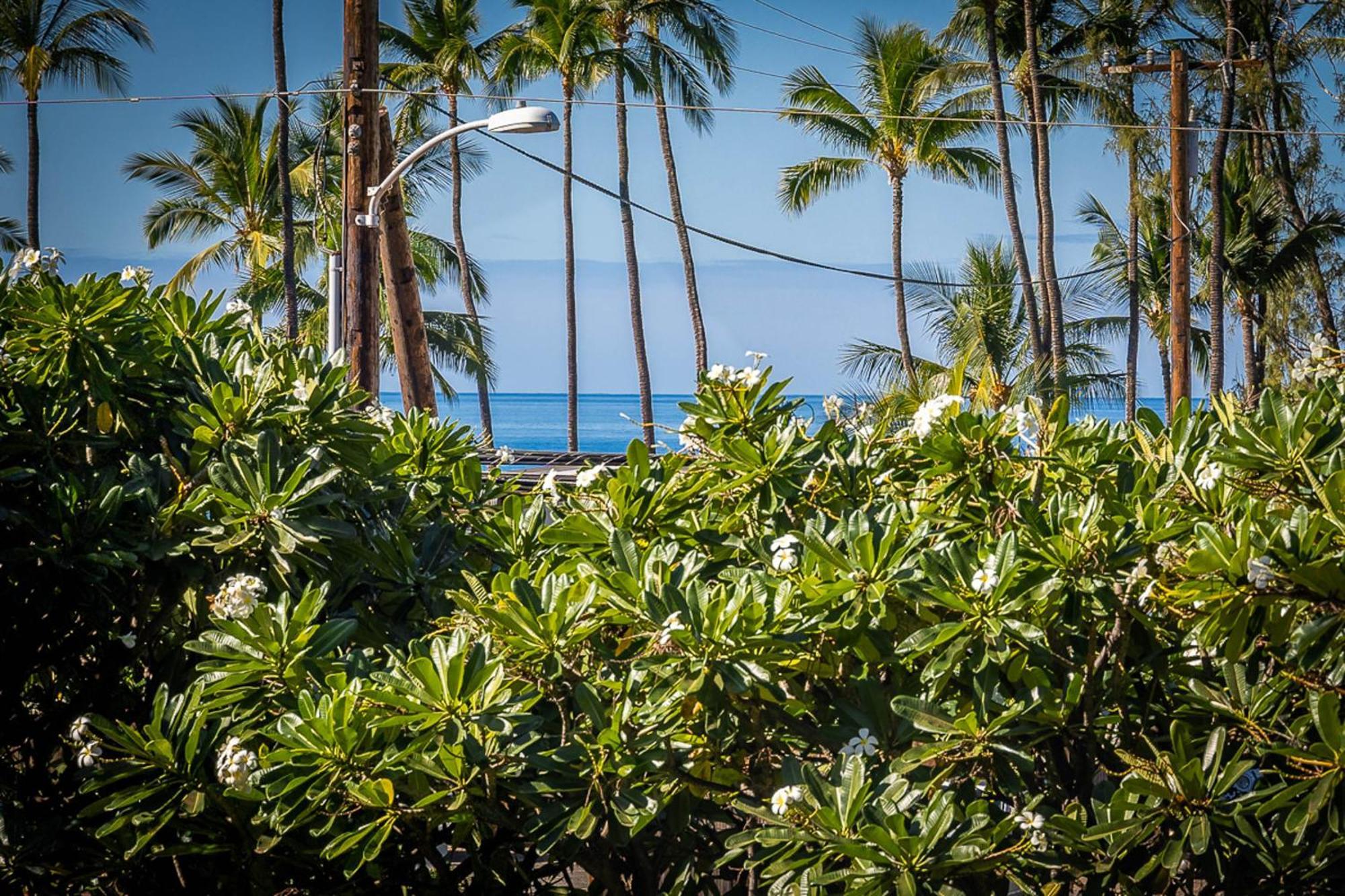 Maui Vista 1210 Lejlighed Kihei Eksteriør billede