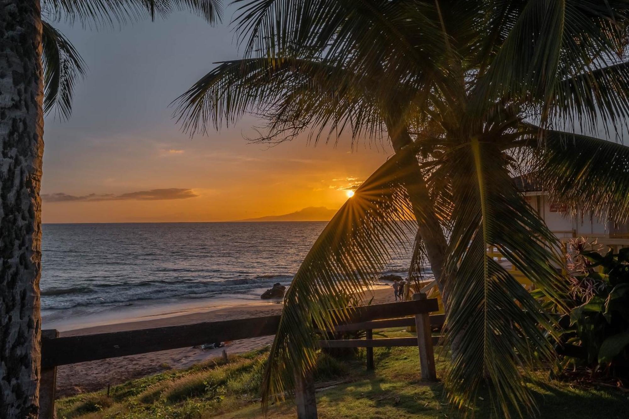 Maui Vista 1210 Lejlighed Kihei Eksteriør billede
